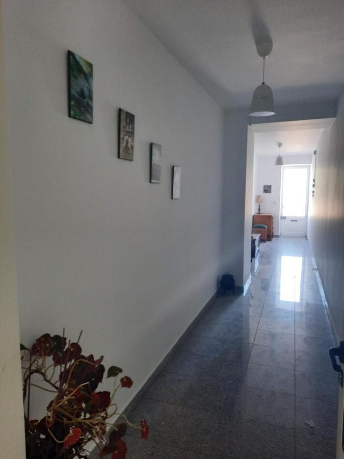 Casa Araci Otel Vieira do Minho Dış mekan fotoğraf