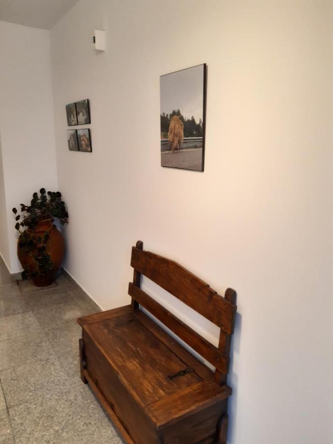 Casa Araci Otel Vieira do Minho Dış mekan fotoğraf